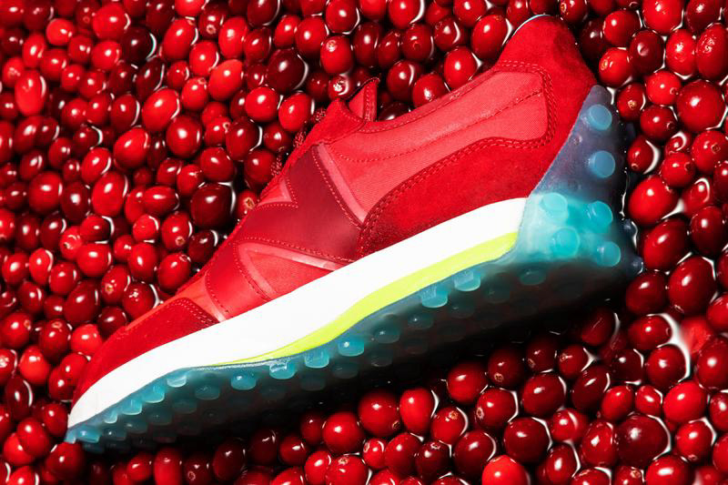 Ocean Spray X Nature project image