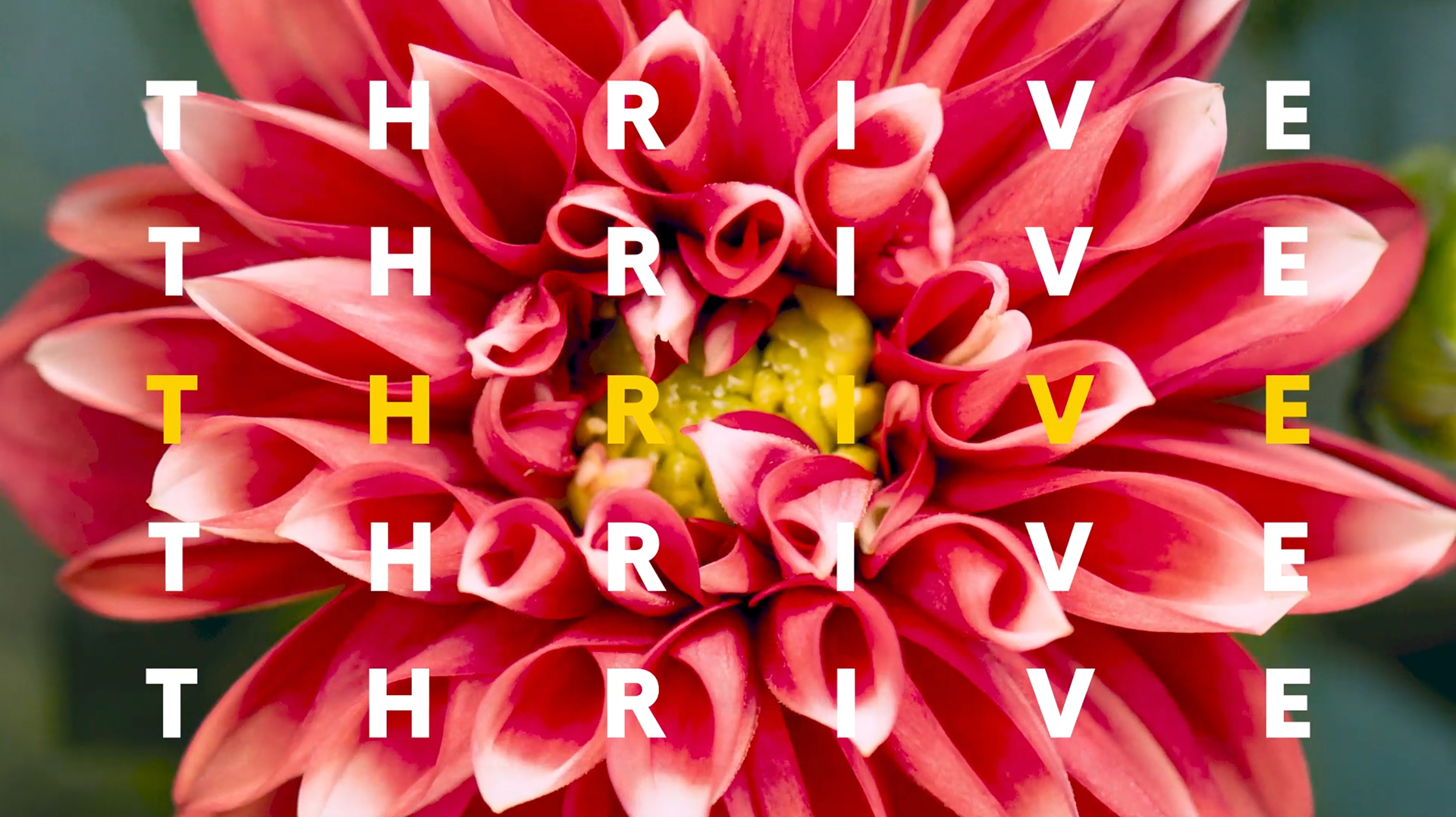Ocean Spray X Nature project image
