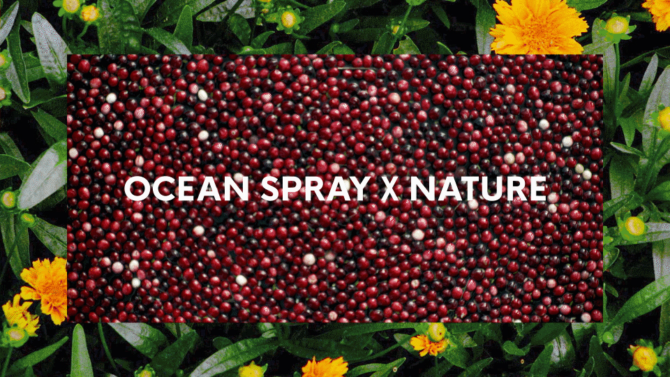 OS X NATURE // brand platform