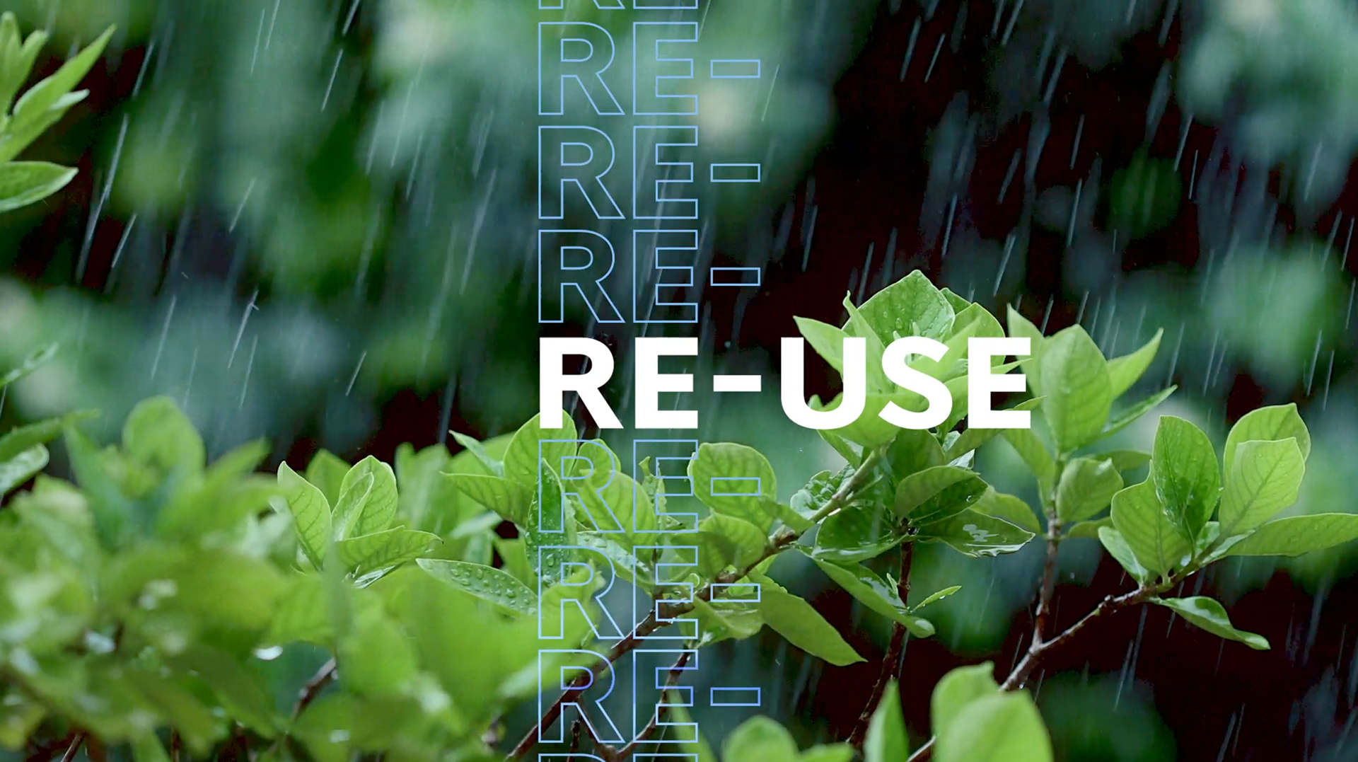 Ocean Spray X Nature project image